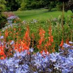 V-Lite used in Gardens